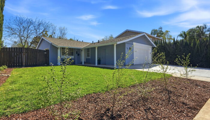 DDRE_252_Vineyard_3
